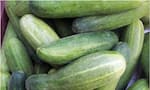 Foods to Avoid Combining with Cucumber ram 