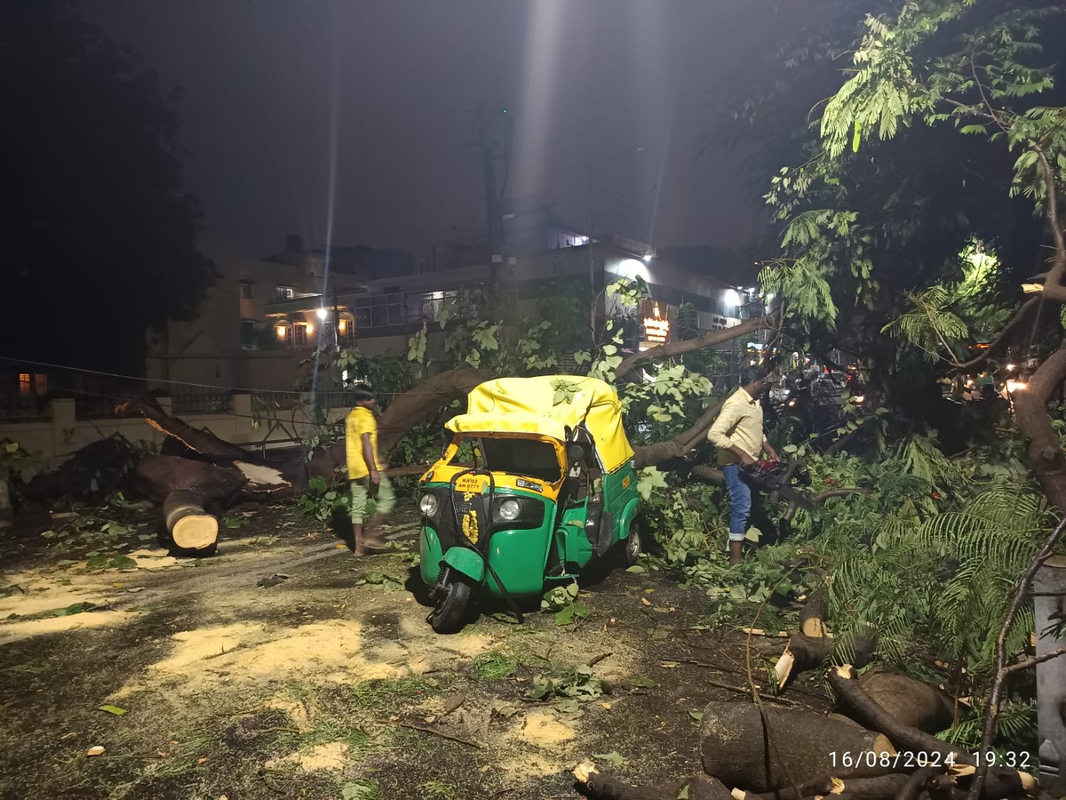 Karnataka rains rains today  huge tree fell on the auto in vijayanagar bengaluru rav