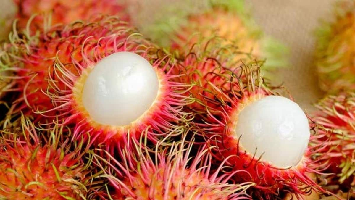 Rambutan Fruit Benefits tvk