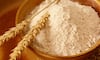 How to determine the purity of wheat flour at home