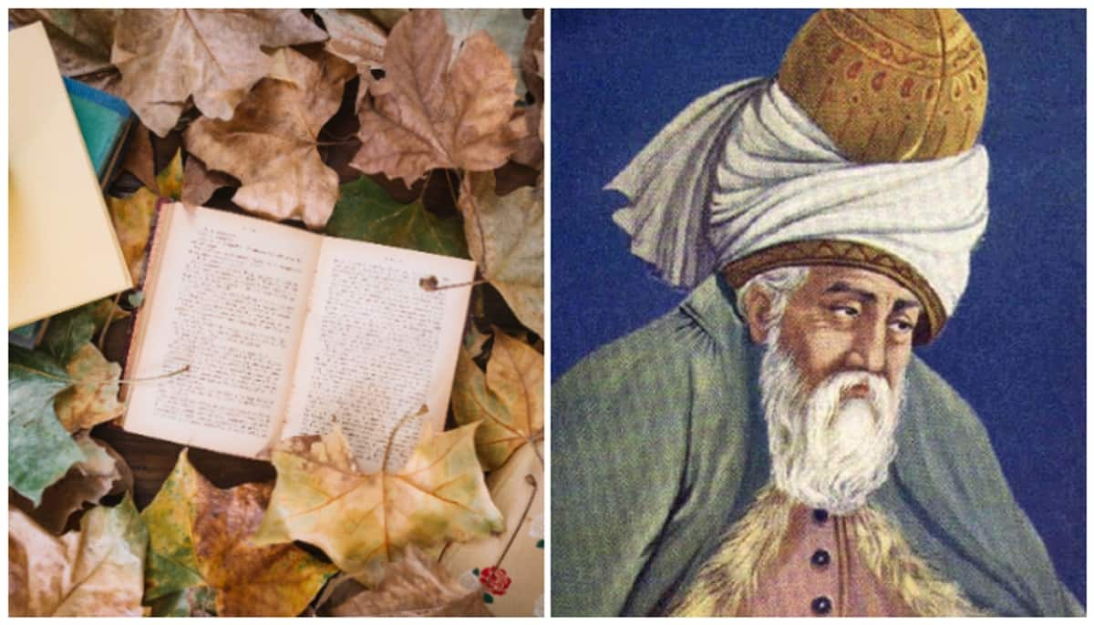 Sunday Poetry: 5 Enchanting short poems by Rumi RTM EAI