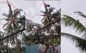 viral crow helped hoist the flag on Independence Day Check out this angle know the truth