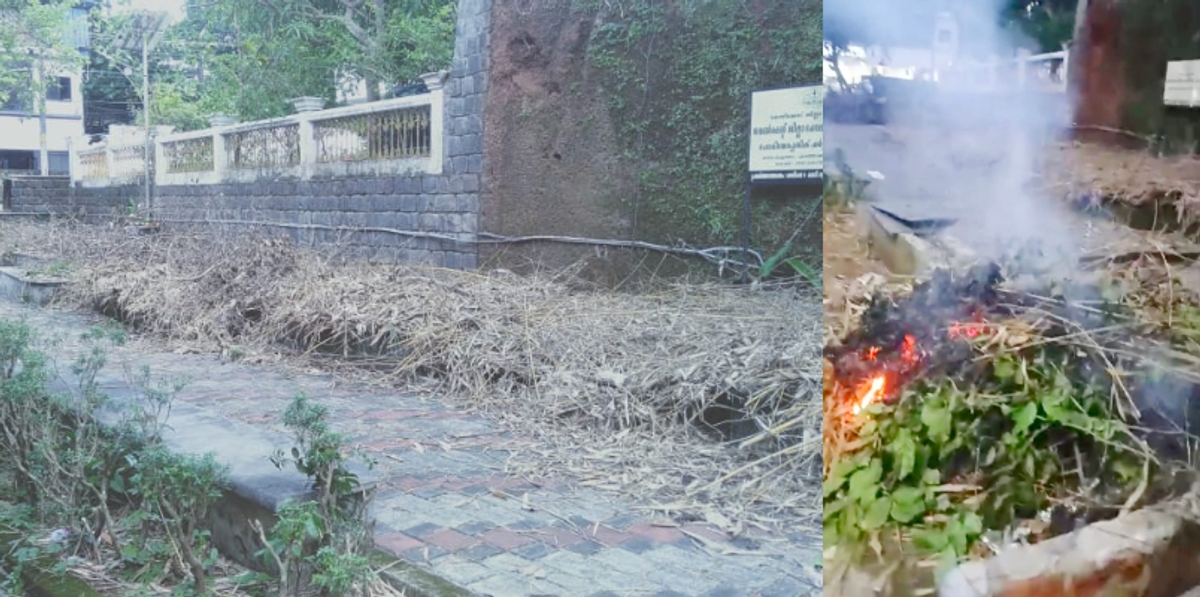 garden in bus bay built in tribute to  autorickshaw driver P Noushad who died while attempt to rescue migrant worker from manhole burned in kozhikode