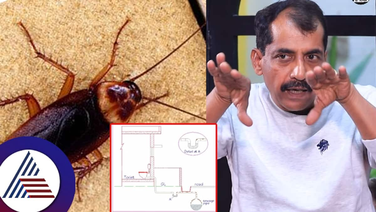 IISc scientist  A R Shivakumar has found a solution to the cockroach problem at the root level suc