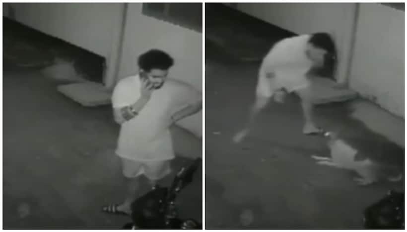 WATCH: Viral video shows man’s terrifying dog attack outside his Gorakhpur home