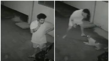 WATCH: Viral Video shows man's terrifying dog attack outside his Gorakhpur home NTI