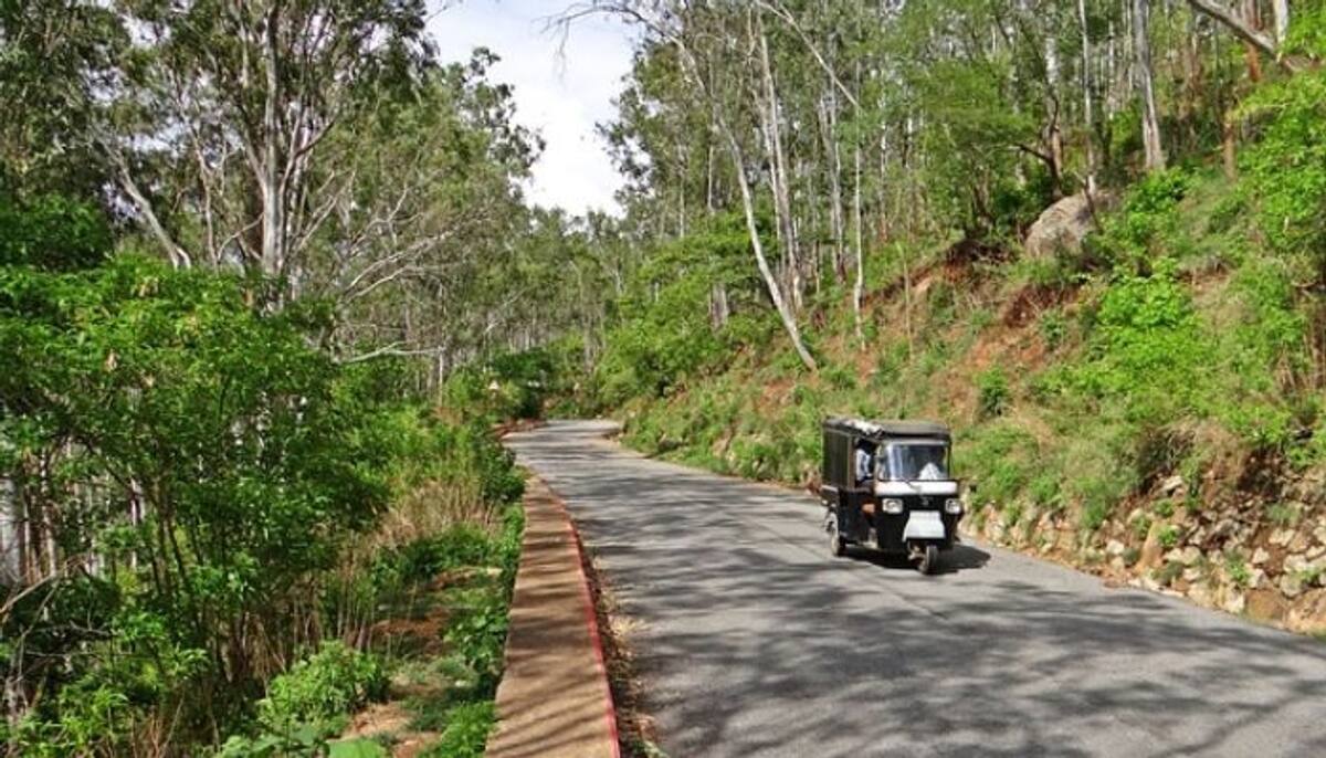 Nandi Hills