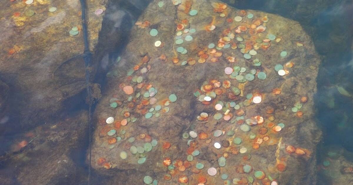 Do you know why people throw coins in the temple pond? Scientific reason Rya