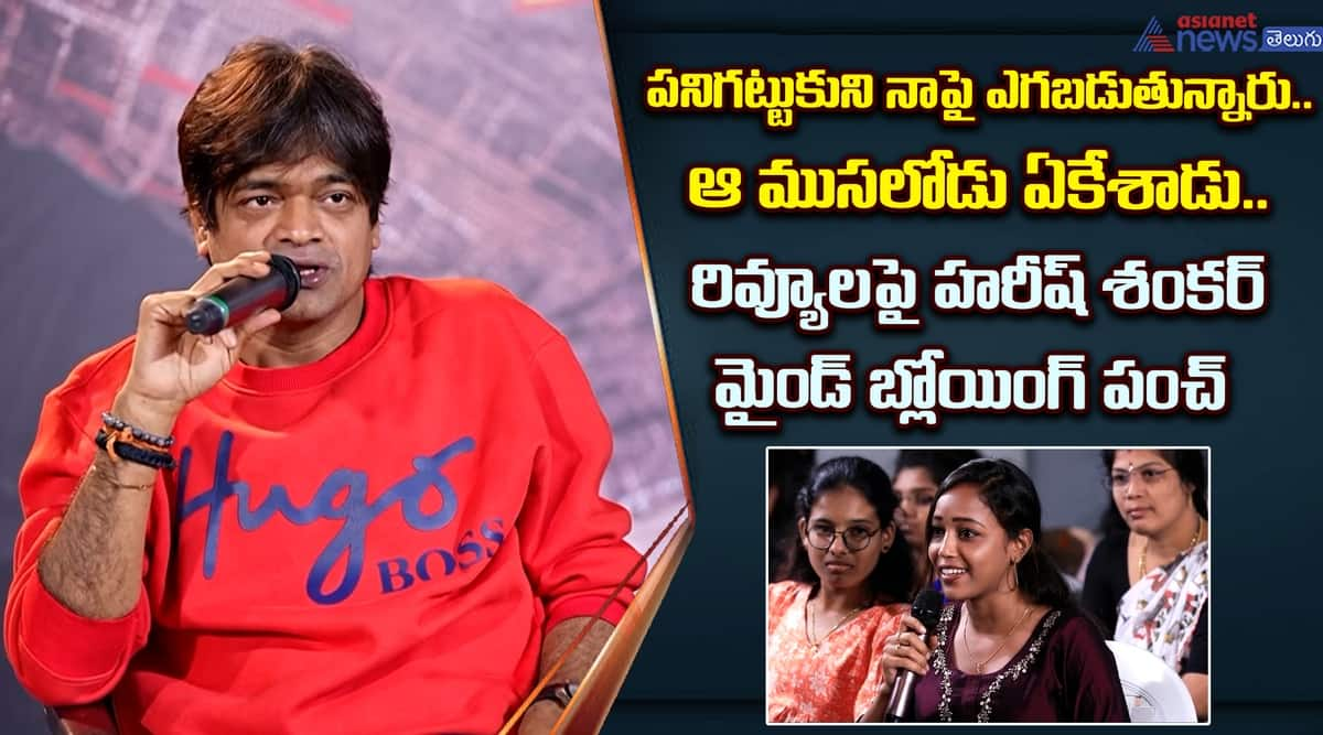 Mr Bachan Director Harish Shankar Comments