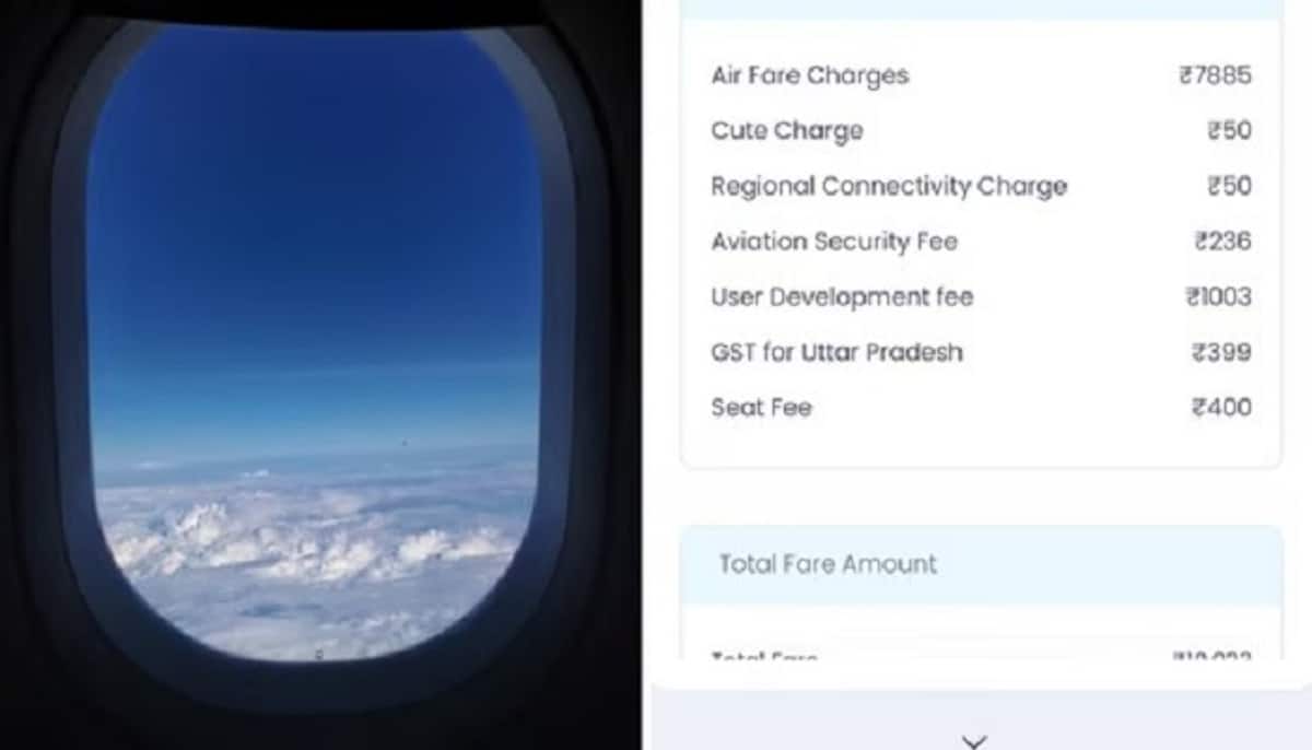 IndiGo airlines Cute fee Advocate slams reply Do you charge users for being cute san