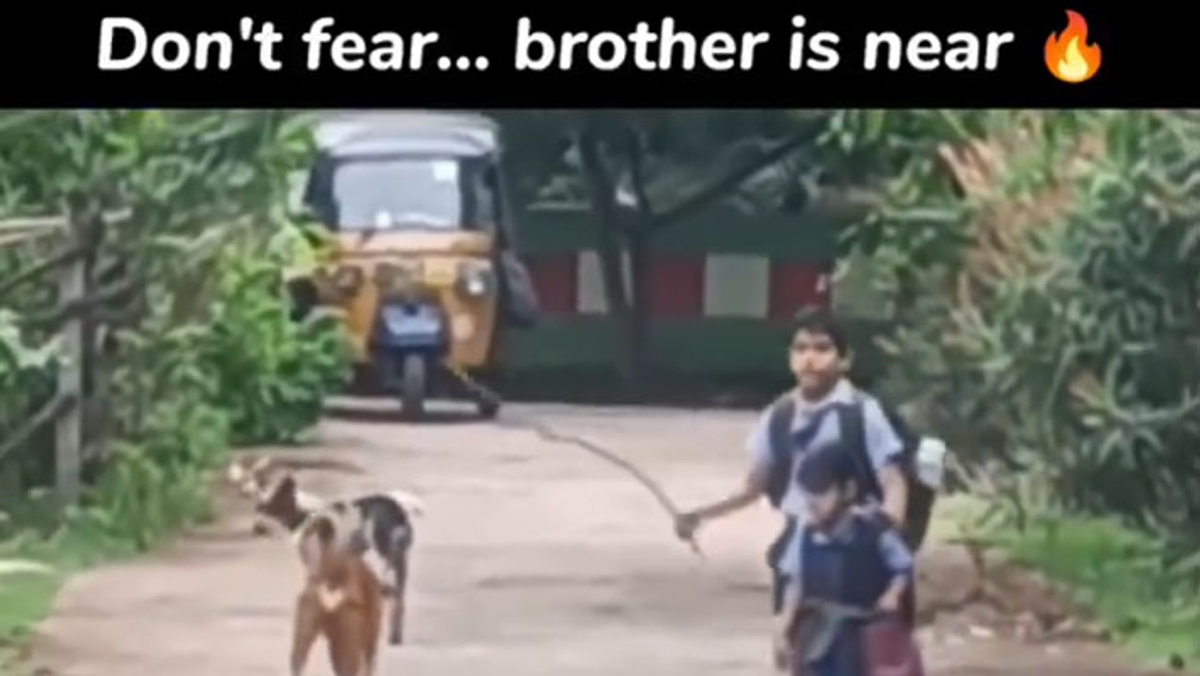 A video of a brother saving his little sister as they return from school! dee