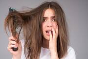 Hacks to get rid of Frizzy Hair 