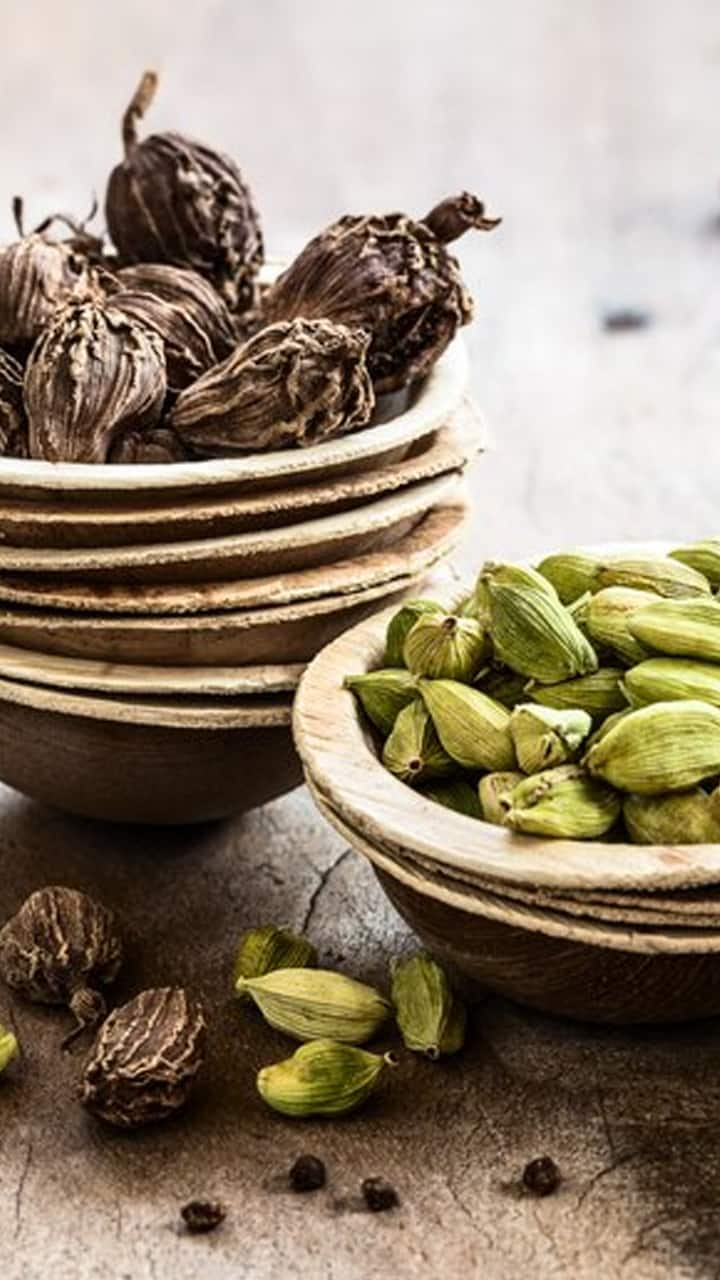 Green Cardamom vs Black Cardamom: Health Benefits, Uses, and Differences rsl