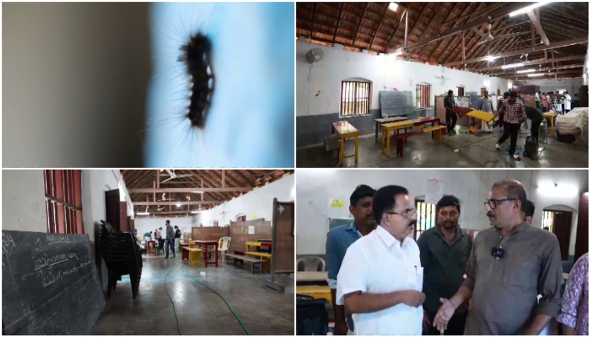 School holiday class room full of worms from teak plantation, what is the solution?