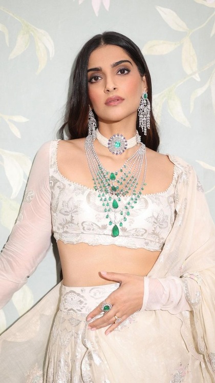 स्लीवलेस ब्लाउज का ट्रेंड हुआ पुराना, चुनें Sonam Kapoor से 10 लुक