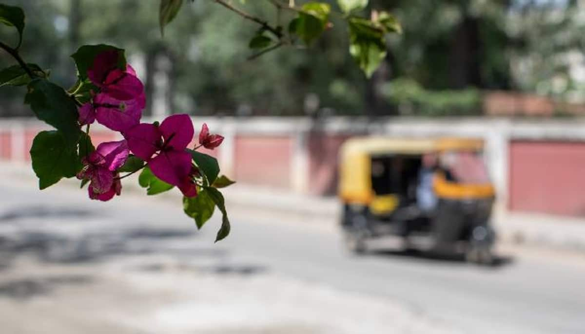 reddit post went viral auto driver returns forgotten 30 rs next day 