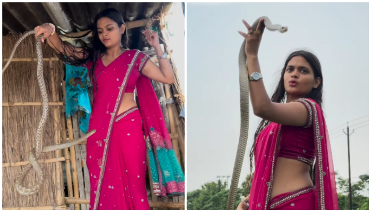 Red Saree girl fearlessly catch snake  videos viral mrq