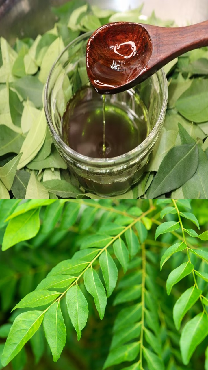 homemade curry leaves oil for hair growth in tamil mks