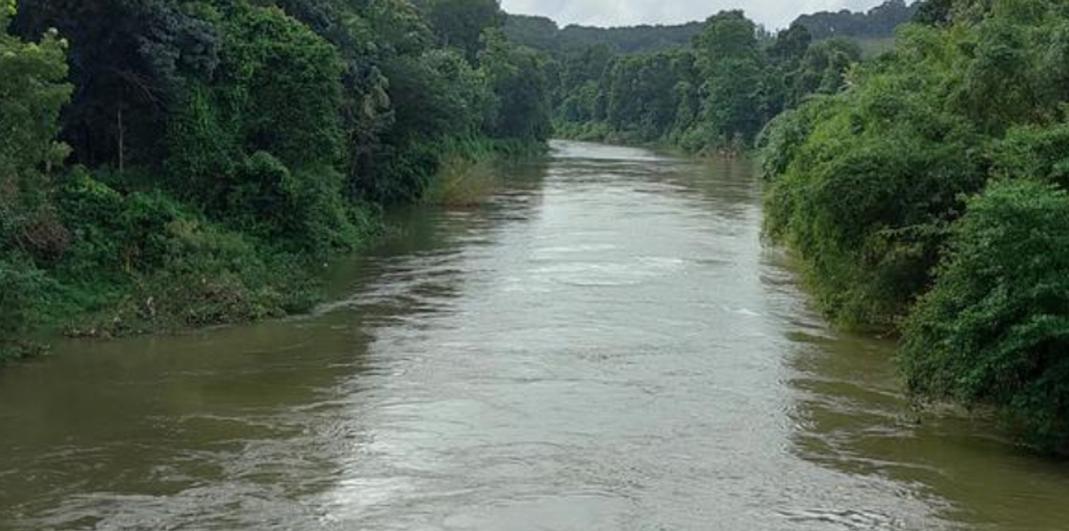 Kerala: Rising water levels in Meenachil river prompt alerts for residents living on banks dmn