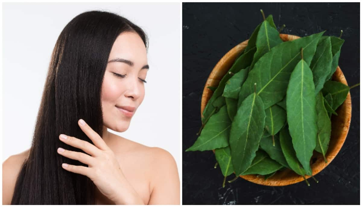 Healthy hair to skin detox: Know the wonderful benefits of Neem leaves RTM 