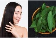 Healthy hair to skin detox: Know the wonderful benefits of Neem leaves RTM 