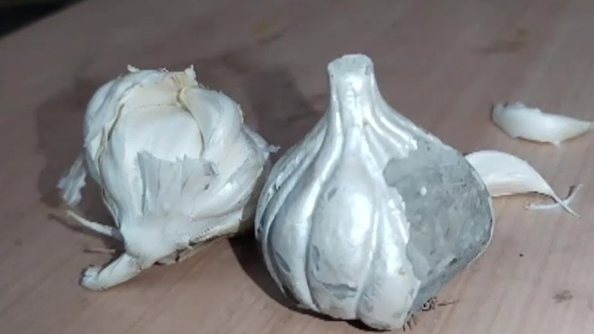 Fake garlic made of cement found in Maharashtra amid soaring prices; viral video sparks debate (WATCH) shk