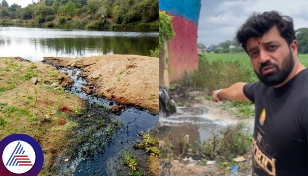 government has admitted that Karnataka 10 rivers are polluted sat