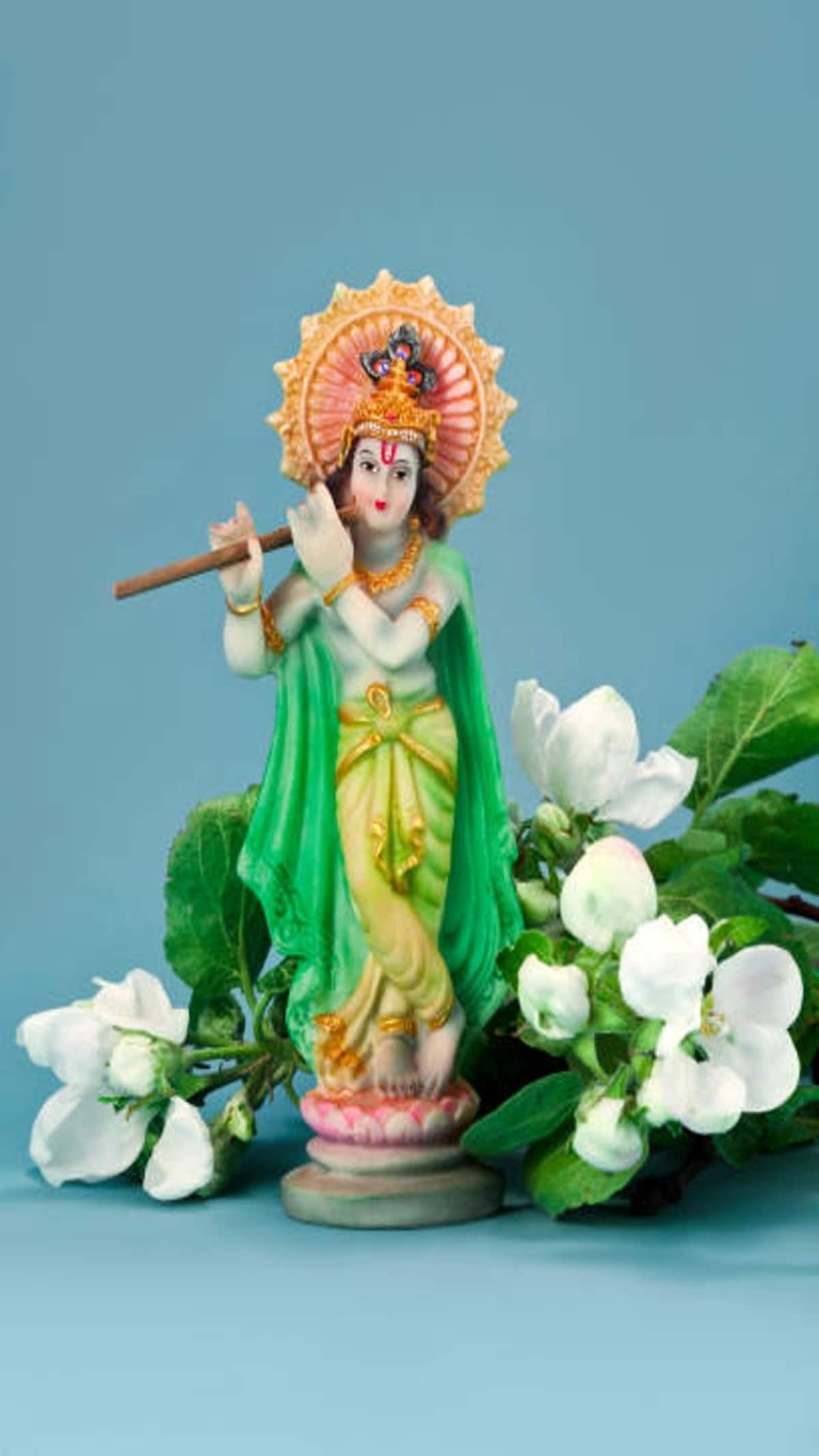 janmashtami-2024-astrology-tips-right-colors-for-prosperity-and-peace