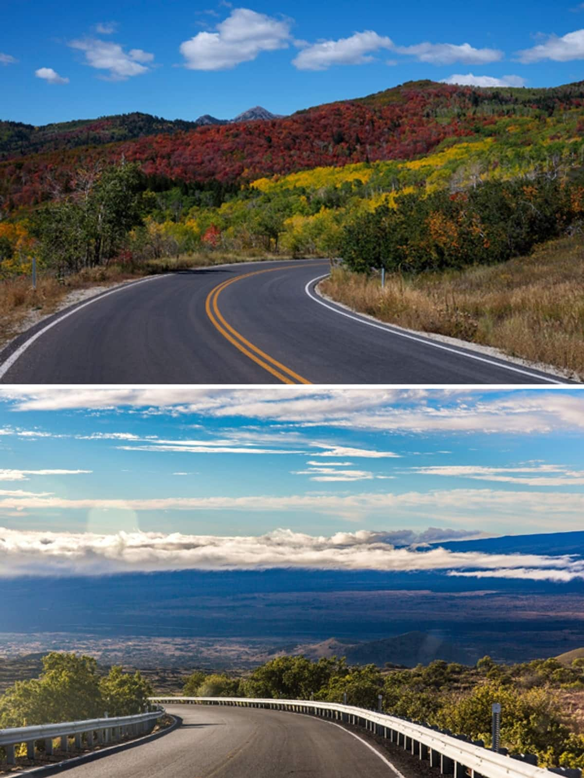 Which is the world's longest road? RKK