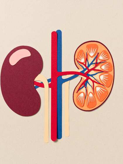 Kidney Failure: ఈ లక్షణాలు ఉంటే..  మీ కిడ్నీలు డేంజర్‌లో ఉన్నట్లే..