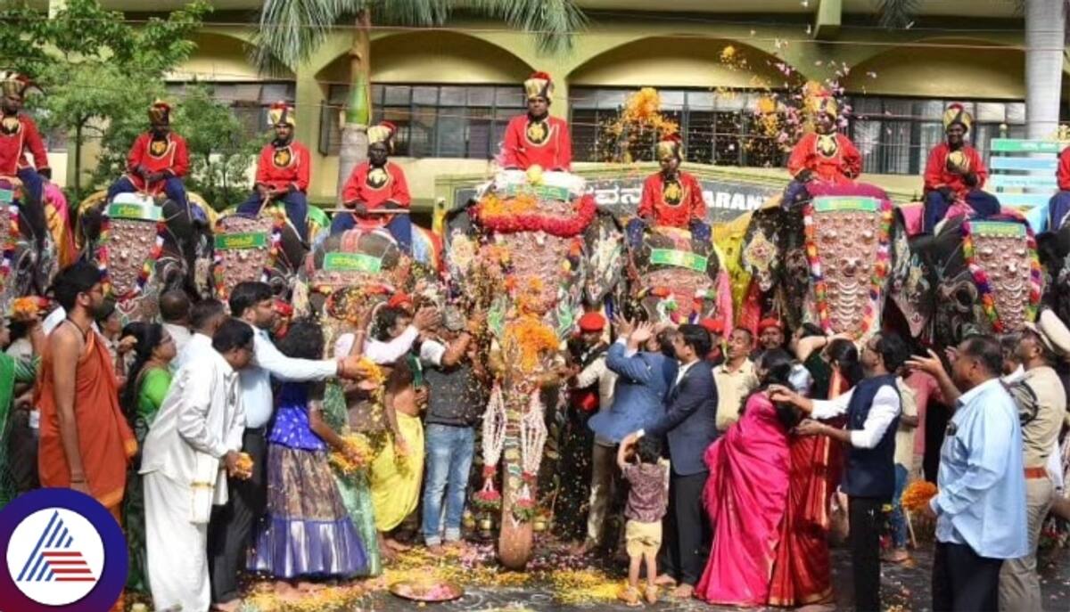 Dasara elephants Weight Details