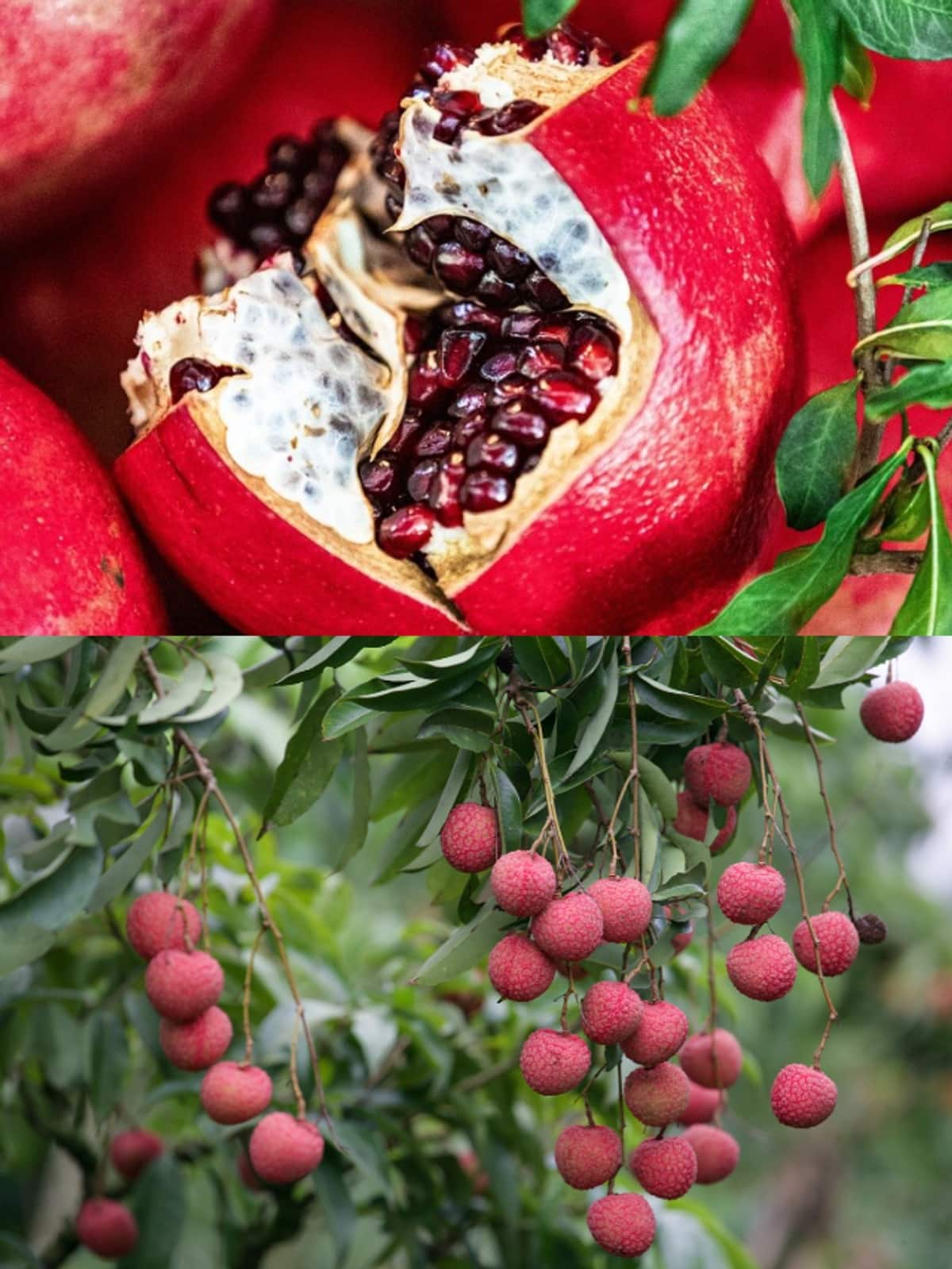 Pomegranates to Papayas: 7 fruits you MUST eat in during Monsoon ATG