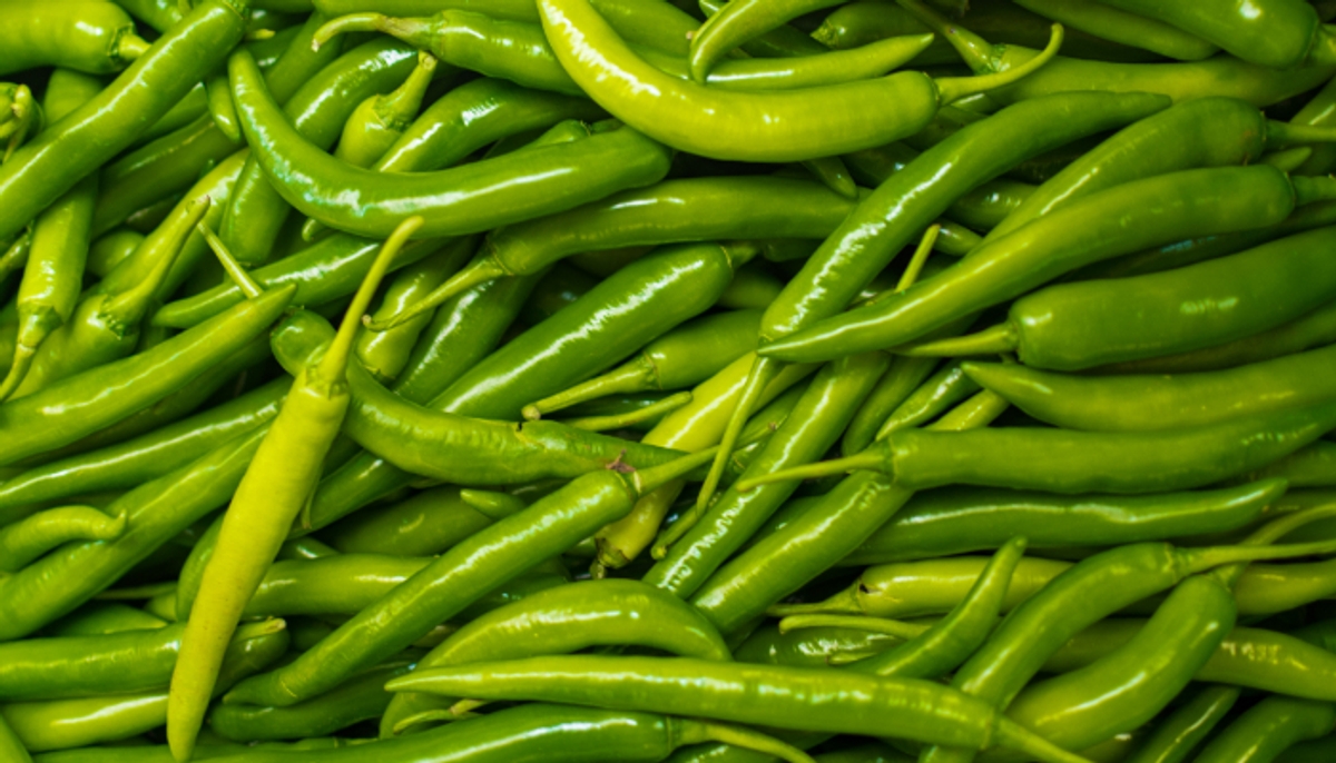 benefits of eating green chilli on a regular basis 