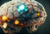 Shocking discovery: Microplastics detected in human brains, unveiling alarming health risks RTM