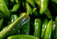 green-chilli-side-effects