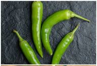 Better immunity to weight loss: 7 Reasons to eat green chillies daily RTM