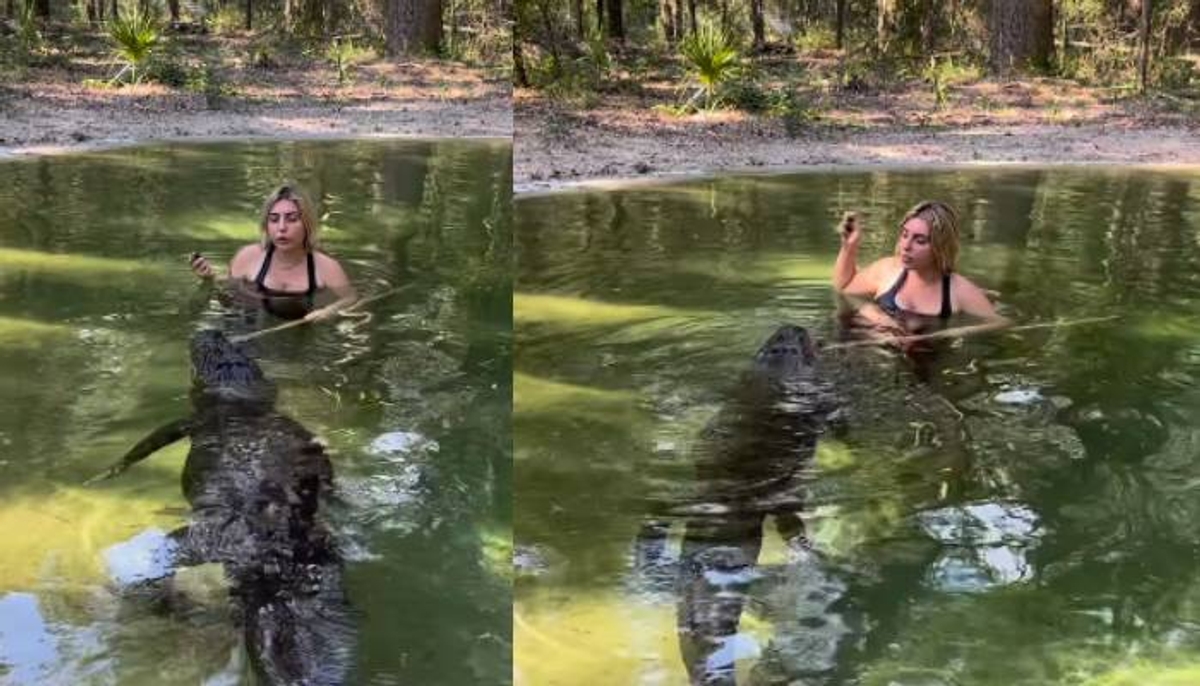 woman feeds alligator viral video 