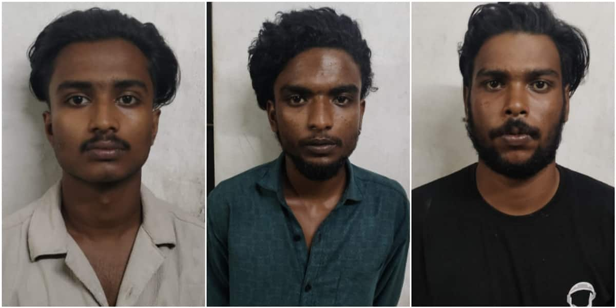 Three youth arrested for attacking Woman and her son 