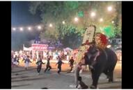 Viral Video exposes Thrissur Pooram elephant clash, eight injured due to safety lapses NTI