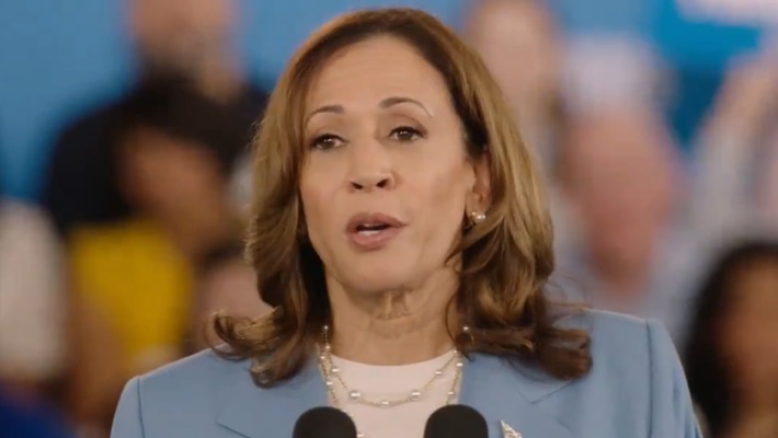 Kamala Harris campaign gets desi touch with Nacho Nacho video watch gcw