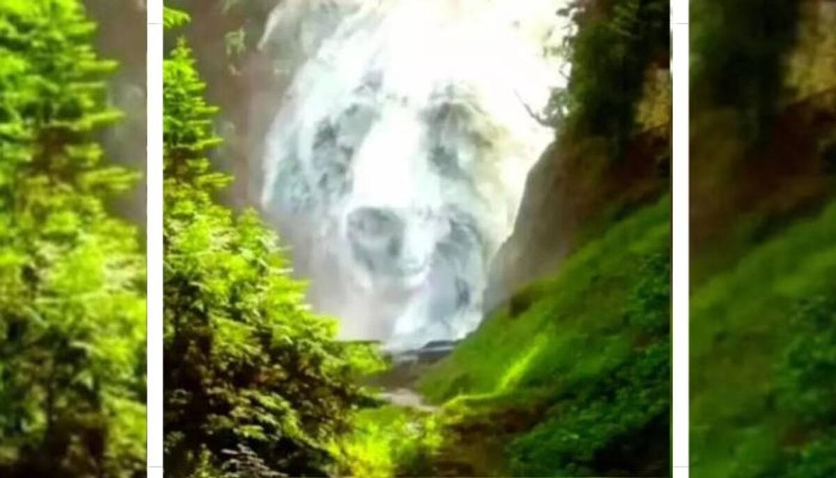 Optical Illusion Personality Test What You See First  Panda s Face or waterfall mrq