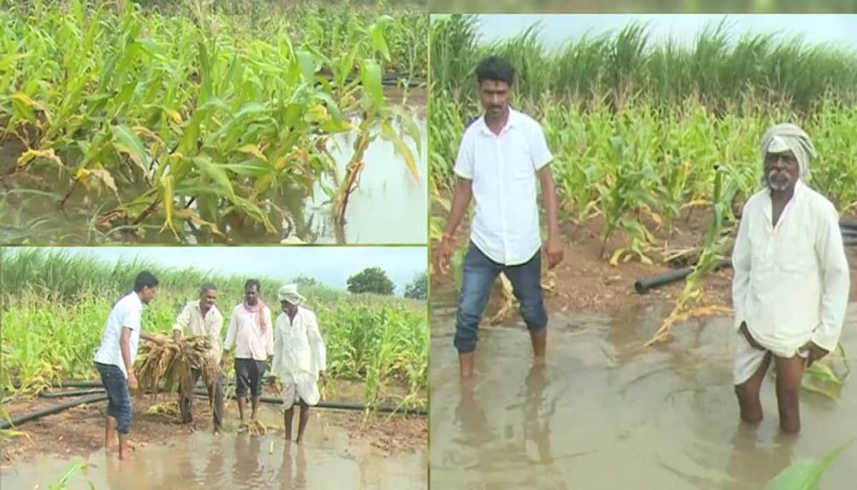 farmers faces problems for canal water came to field in vijayapura grg 