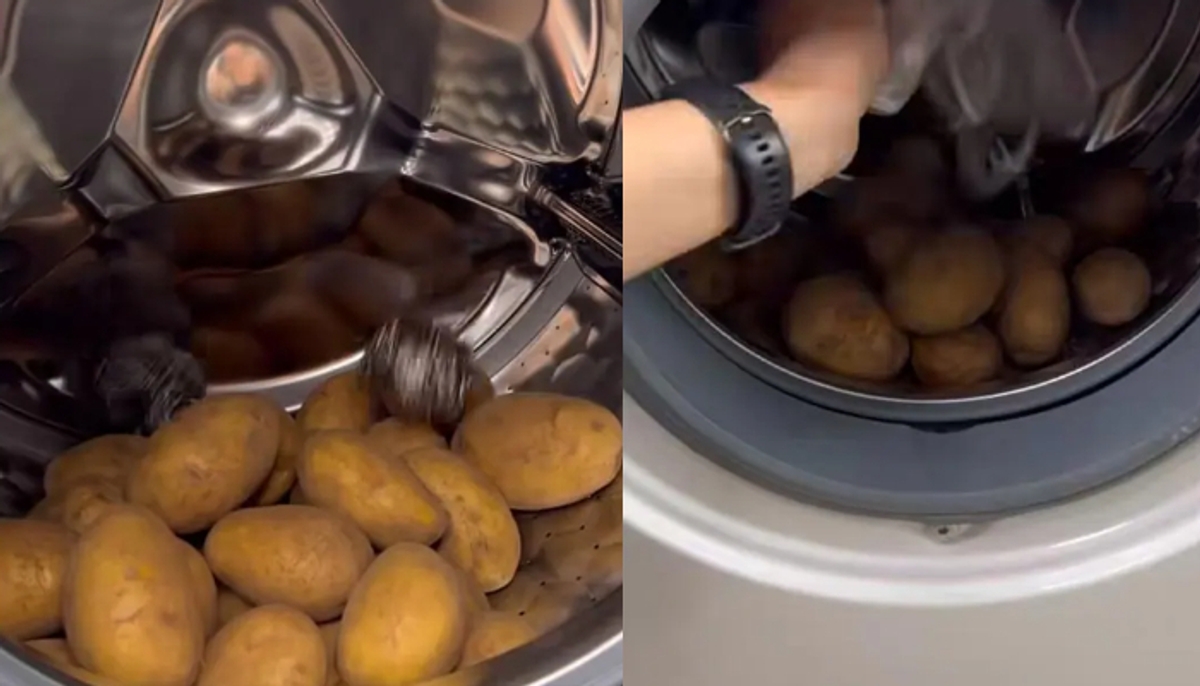 Life Hack To Clean Potatoes In Washing Machine Internet Disapproves