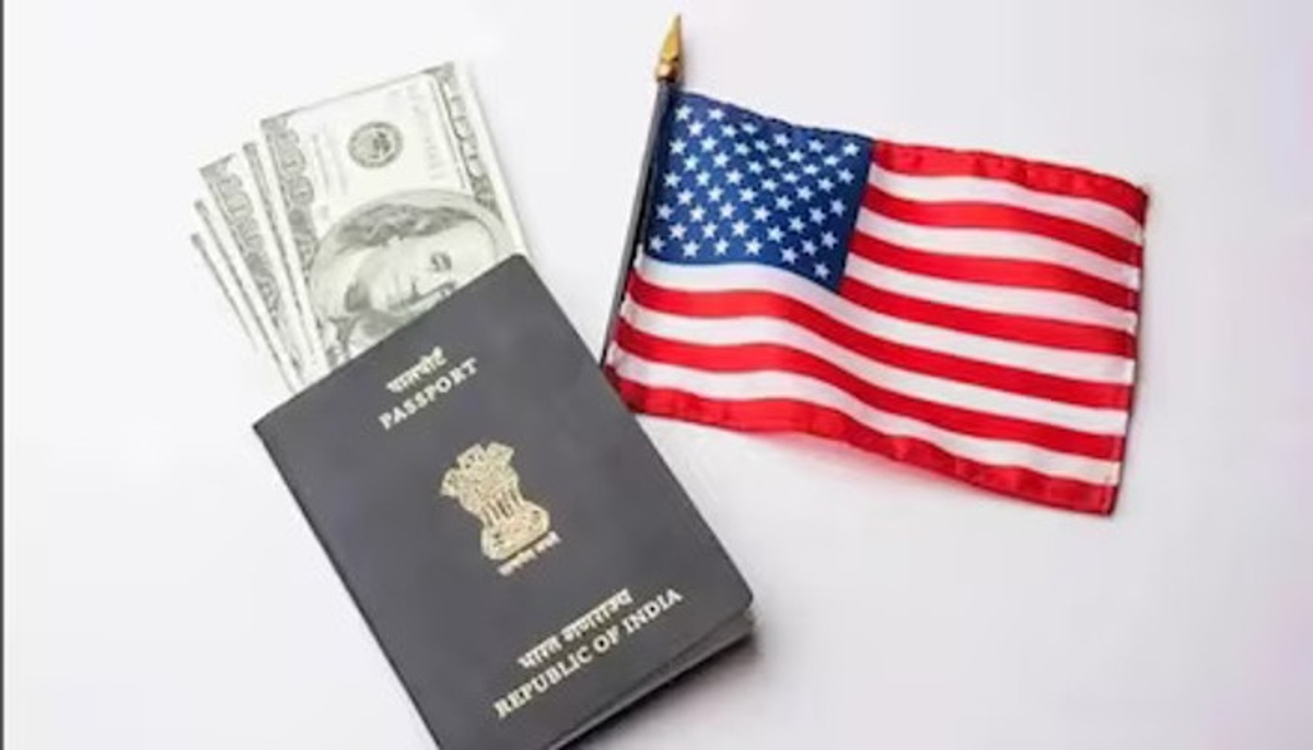 Indian-origin tech influencer's guide to US citizenship sparks outrage over 'scientific fraud' tactics shk