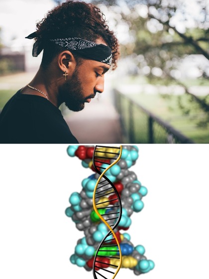 What is the Y chromosome? Why is it disappearing in men?