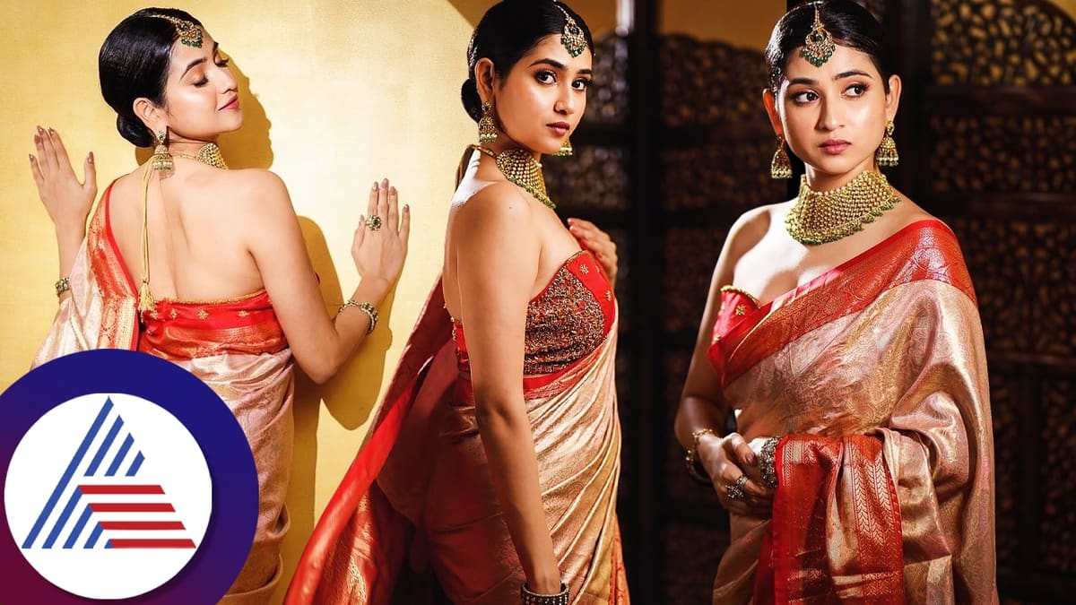 Malaika Vasupal traditional and trendy look in saree goes viral pav