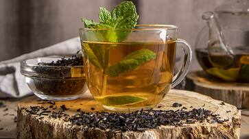 Tulsi Tea in Morning: Your secret to weight loss, stress relief, and boosted immunity iwh