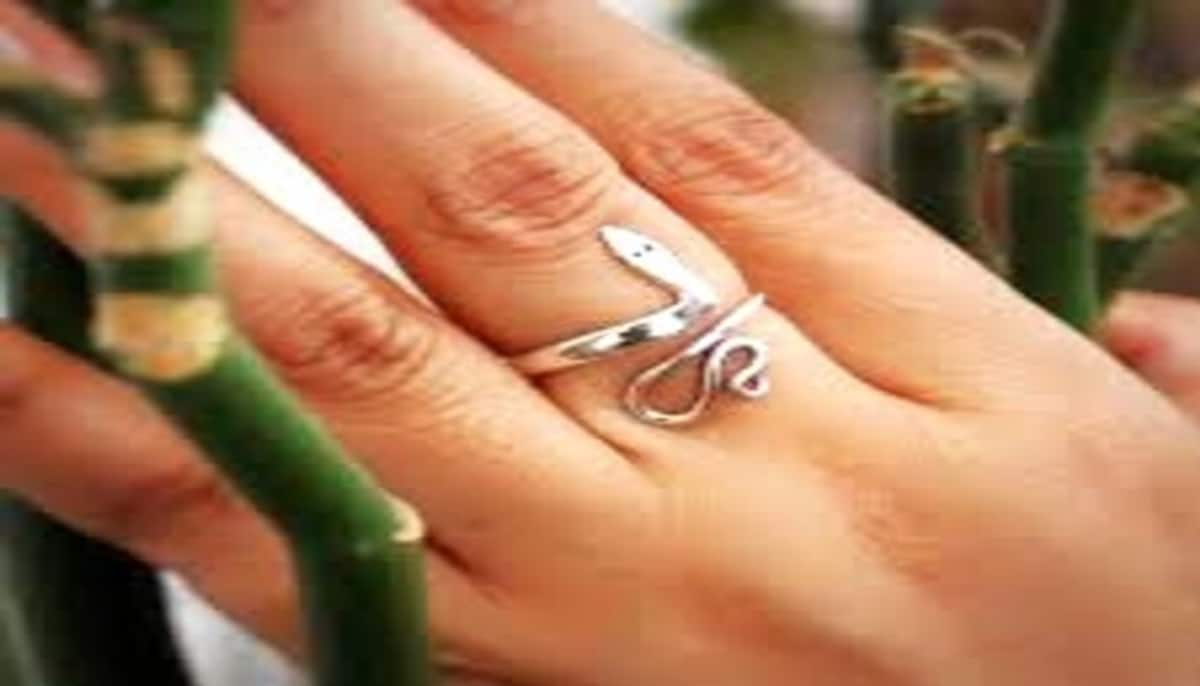 benefits of wearing snake ring as per astrology in tamil mks