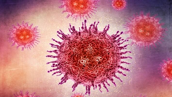 Chandipura virus 