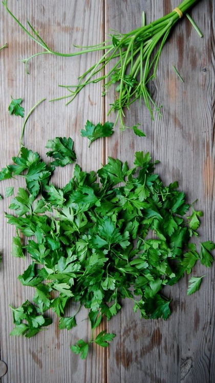 Tips to keep Coriander fresh